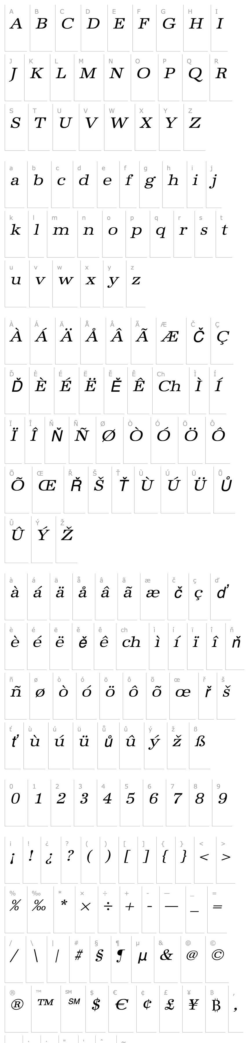 Přehled IrisBeckerExtended Italic