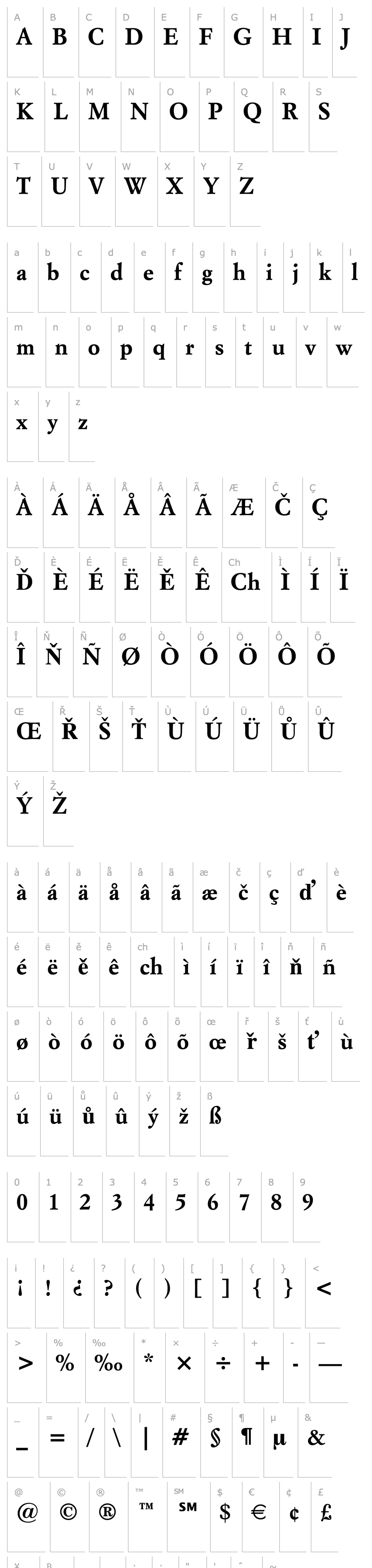 Overview Italian Garamond Bold BT