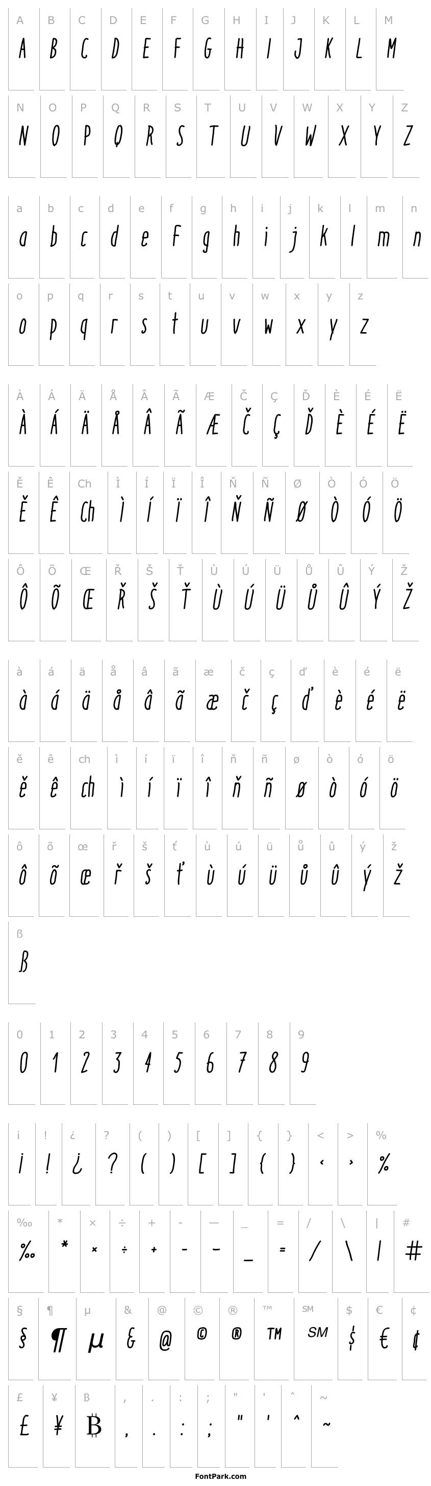 Přehled Italo-MediumItalic