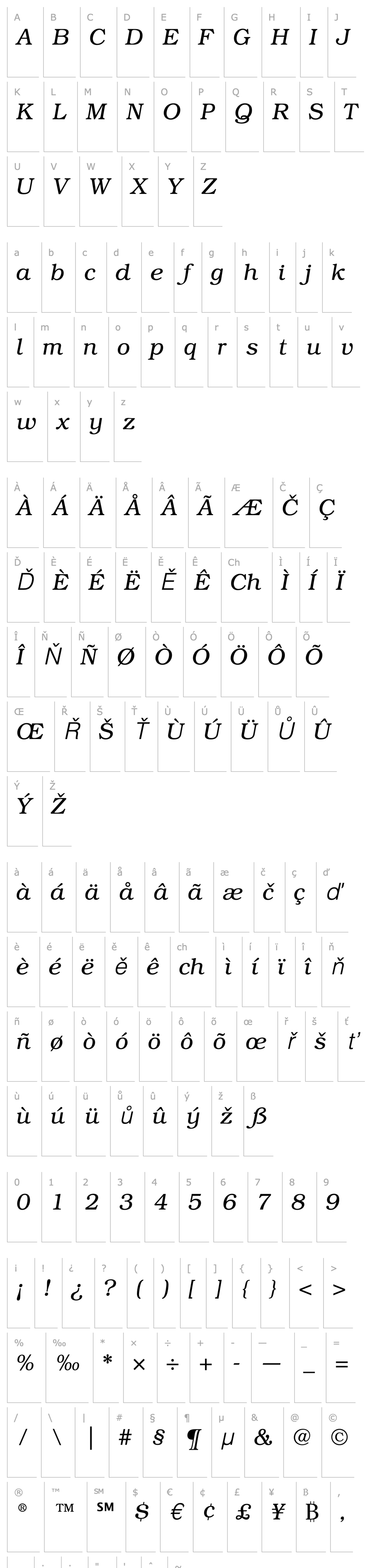 Přehled ITC Bookman S Light Italic