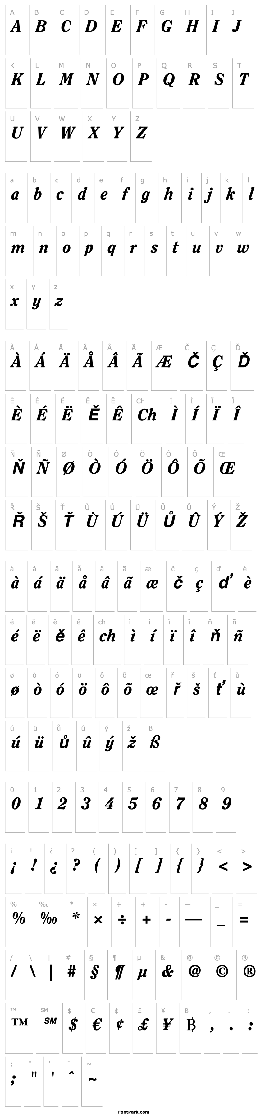 Overview ITC Clearface LT Heavy Italic