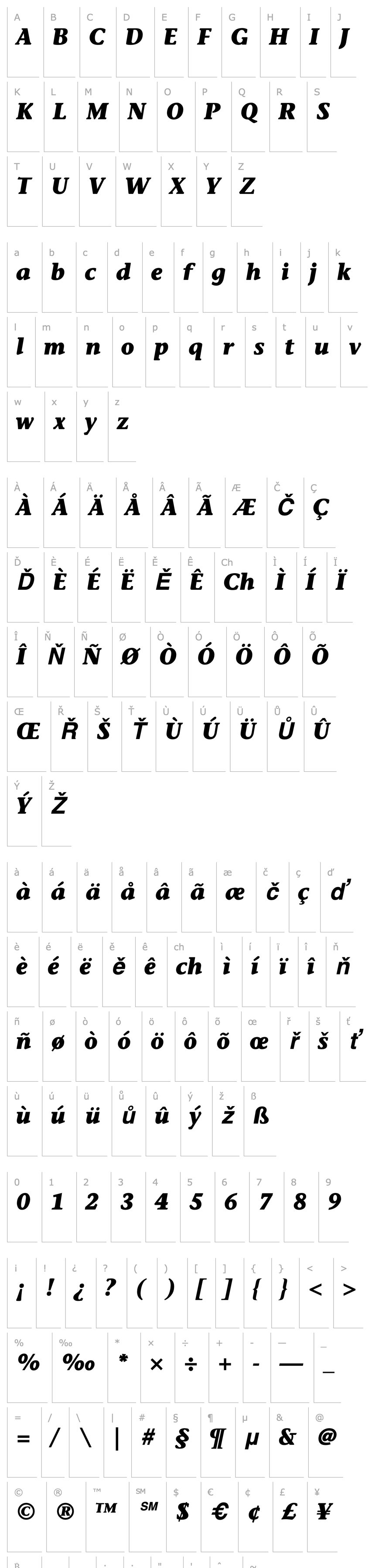 Overview ITC Stone Informal Bold Italic