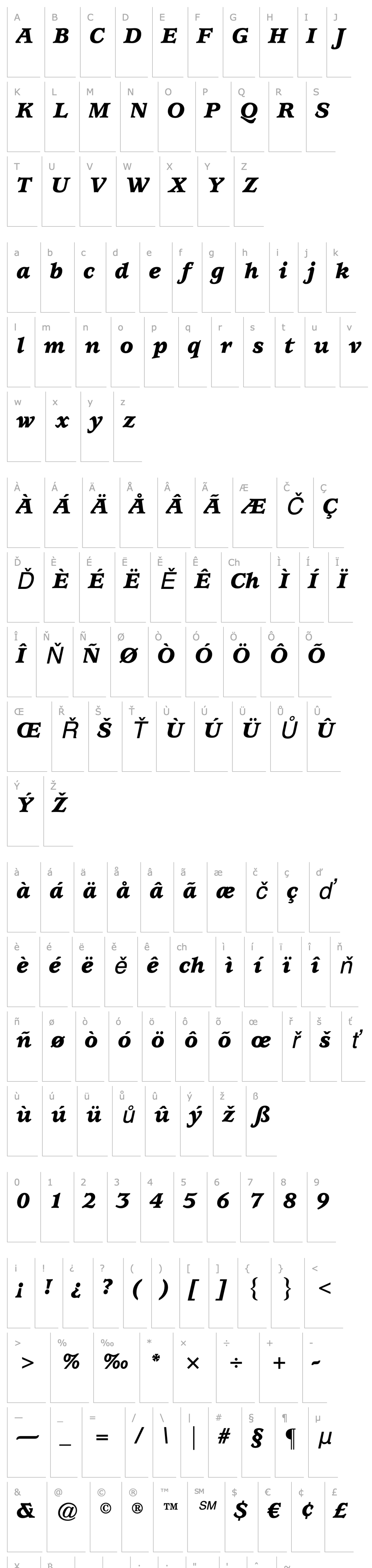 Overview ITC Usherwood LT Black Italic