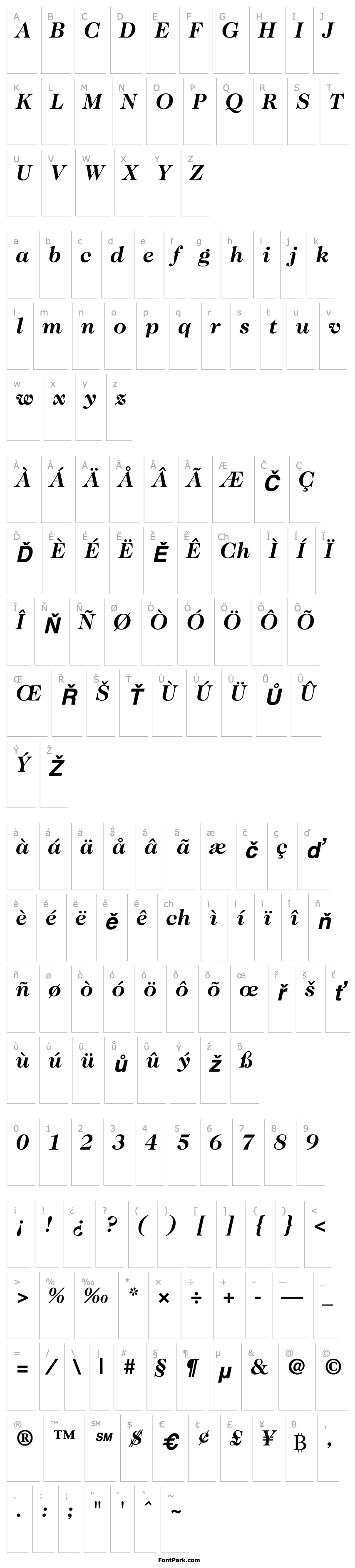 Přehled ITCCaslon224-Bold Italic