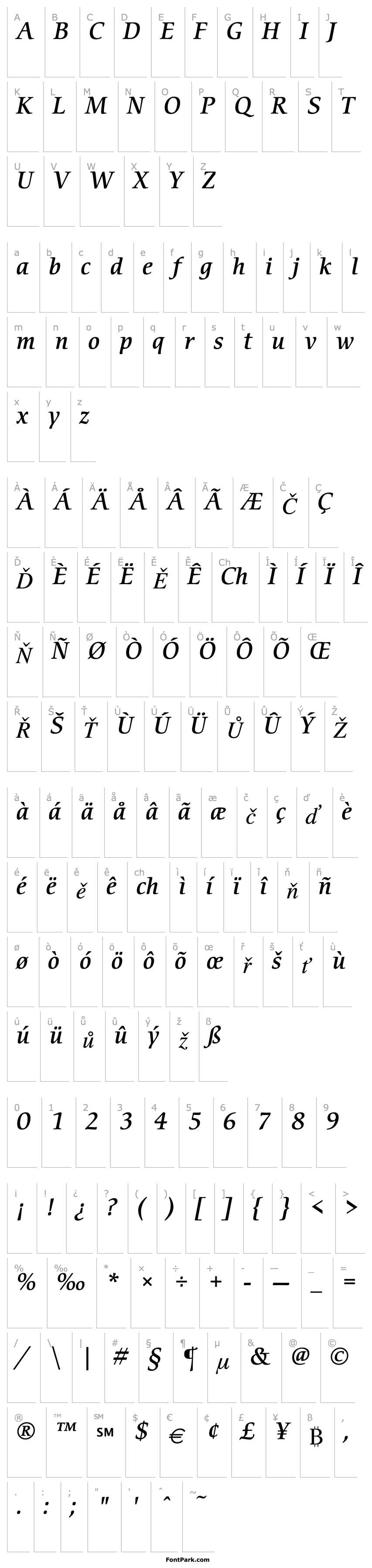 Přehled ITCCerigo-MediumItalic