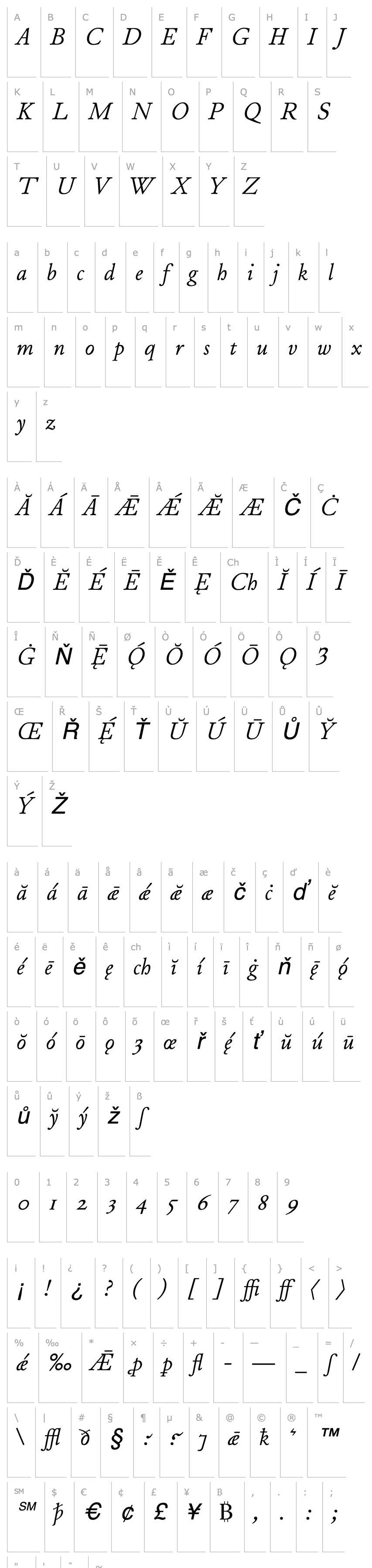 Overview JuniusModern Italic