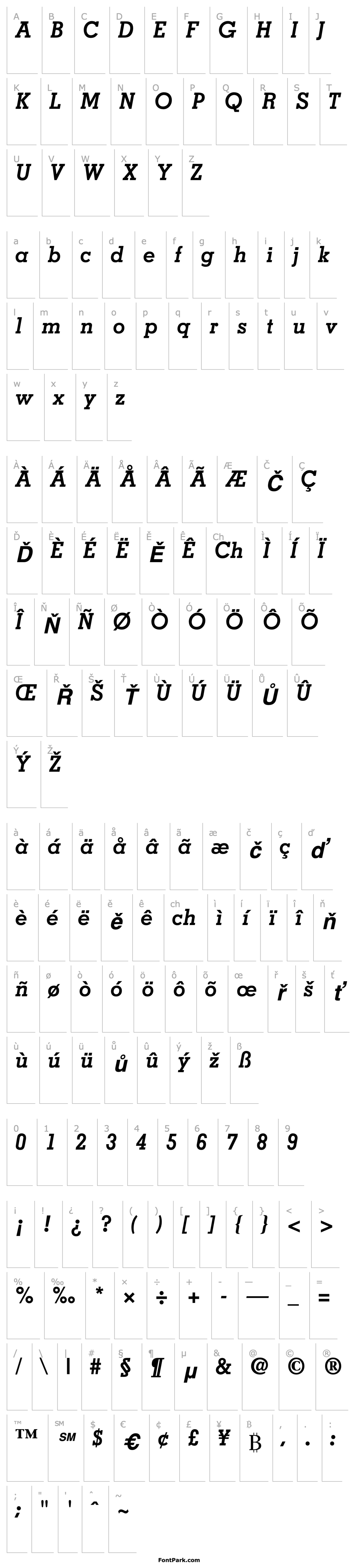 Overview Jaak SSi Bold Italic