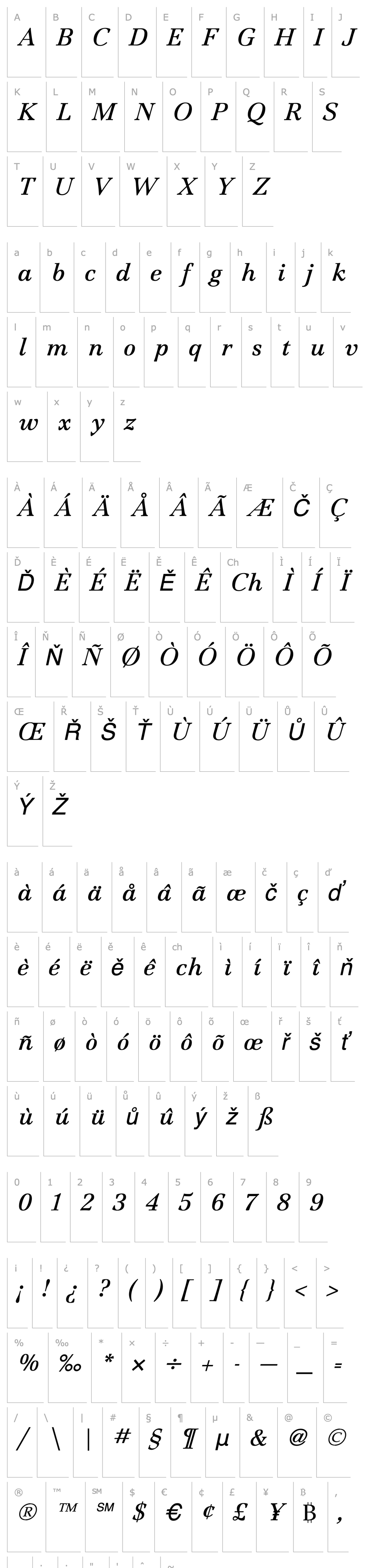 Overview JamilleBookItalic