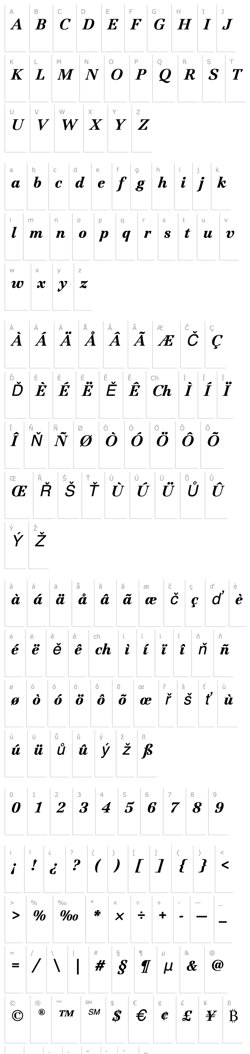 Overview JamilleEF-BlackItalic