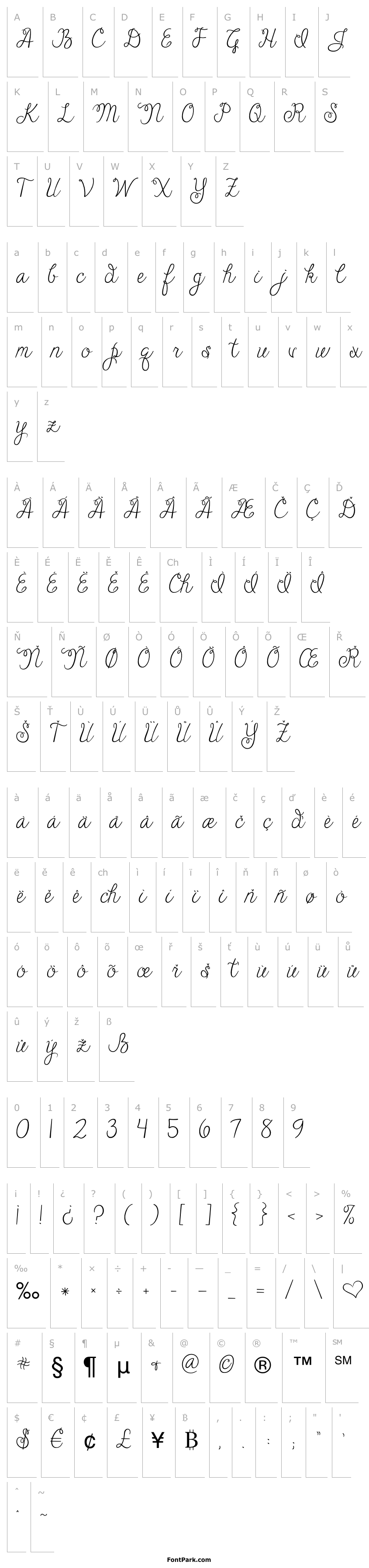Overview Janda Cheerful Script