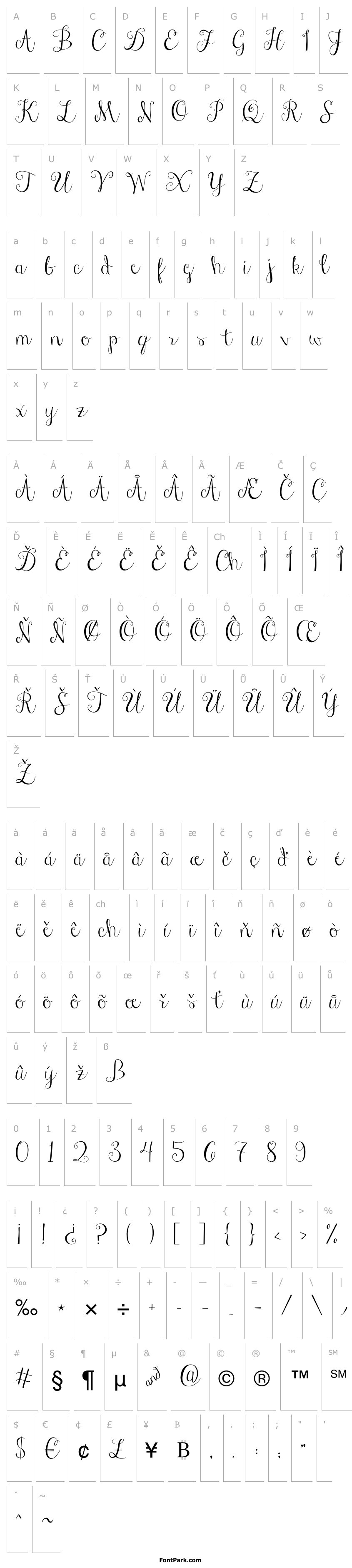 Overview Janda Stylish Script