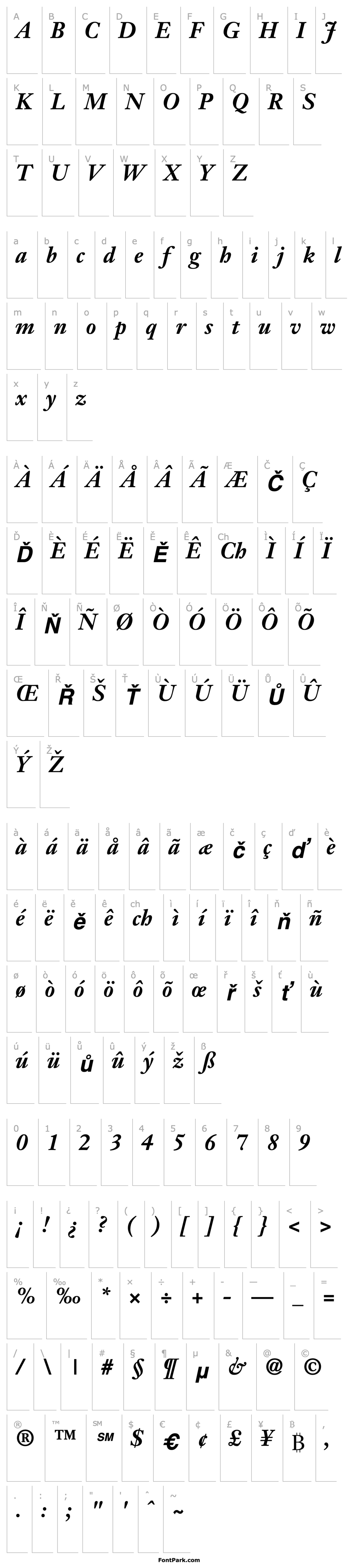 Overview Janson SSi Bold Italic