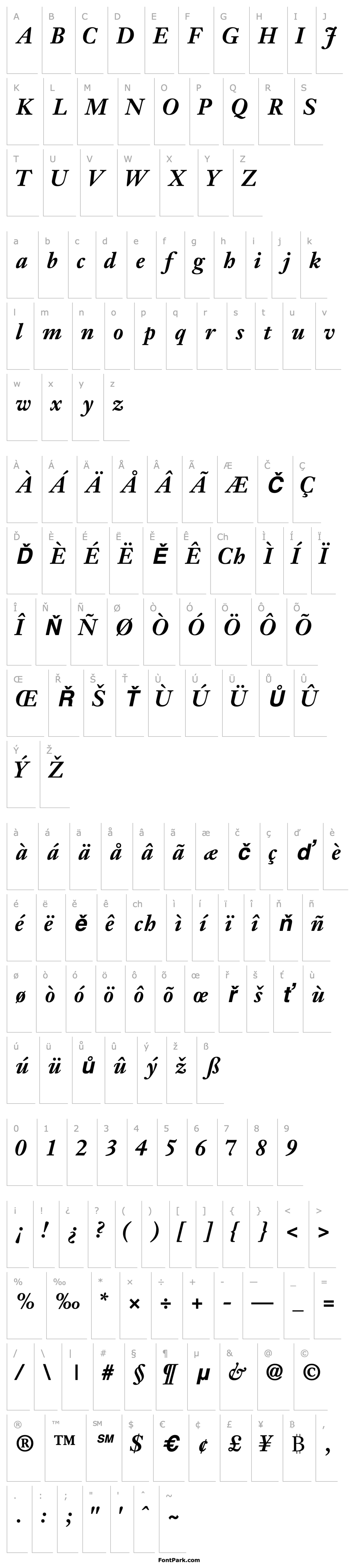 Přehled JansonSSK Bold Italic