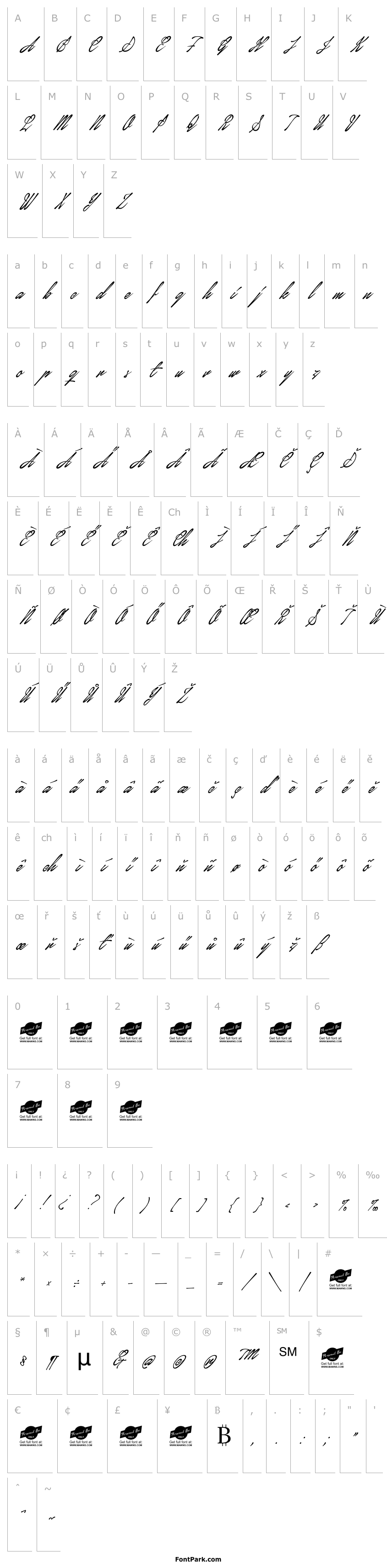 Přehled January Script Personal Use