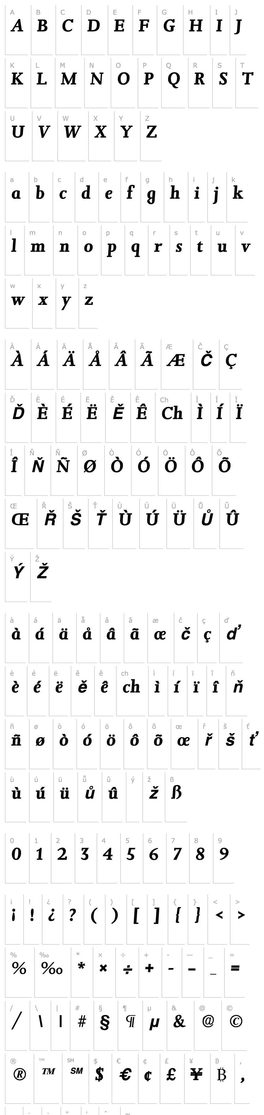 Overview Jessica Bold Italic