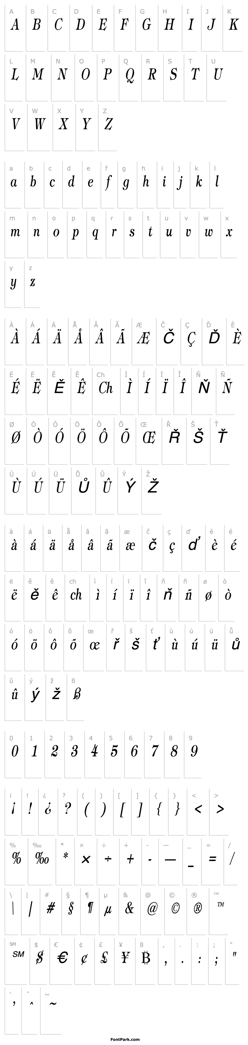 Overview JewelCondensed Italic