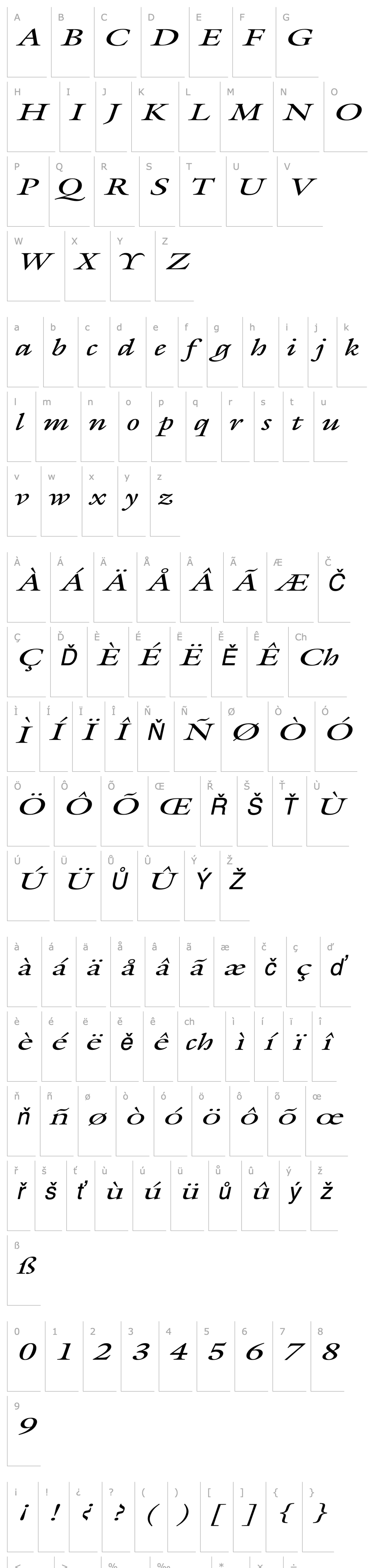 Overview JoulliardExtended Italic