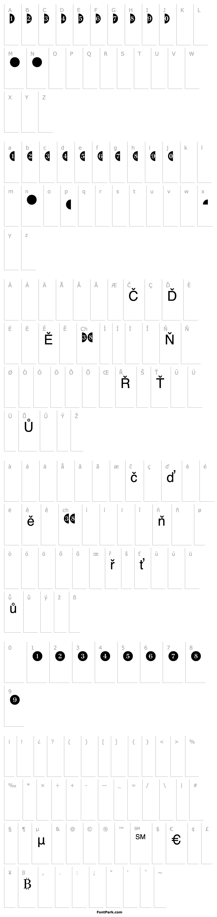 Overview JournalDingbatsFourSSK Regular