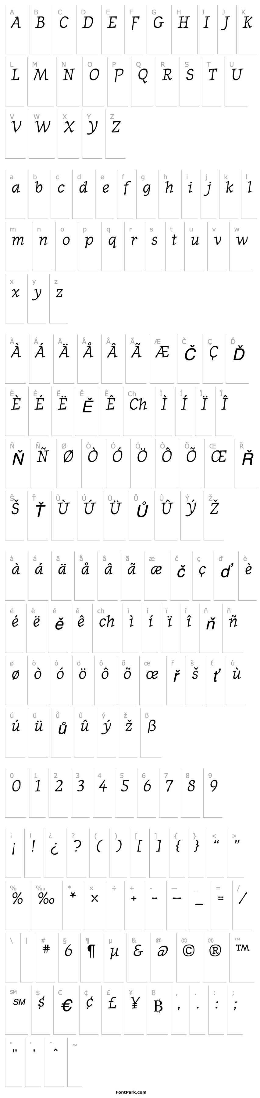 Overview JournalItalic