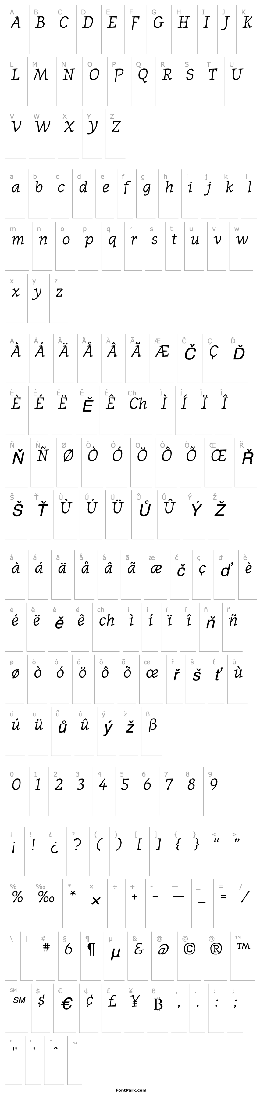 Overview JournalItalic Medium