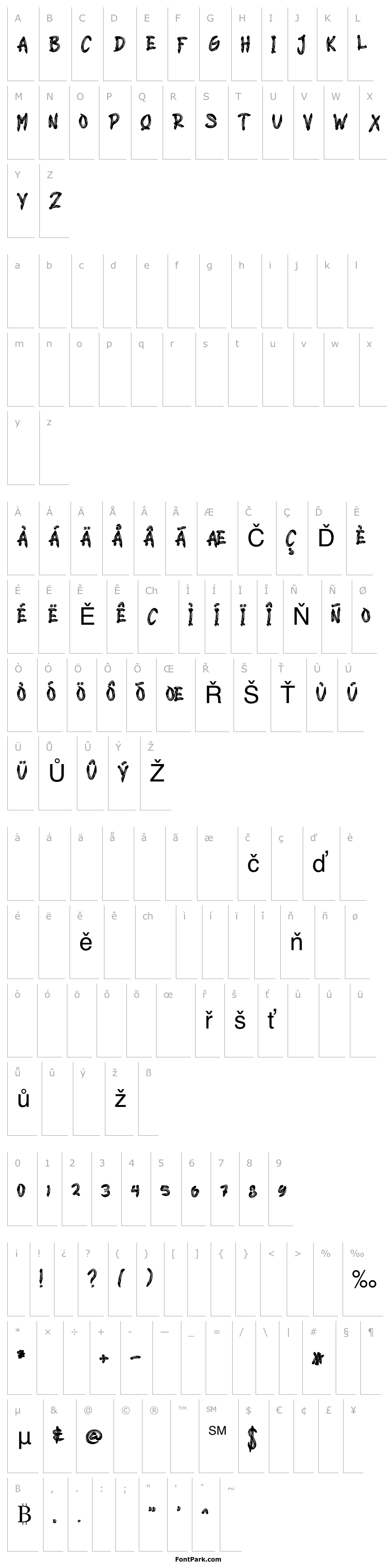 Overview JUNGLE TO JUNGLE