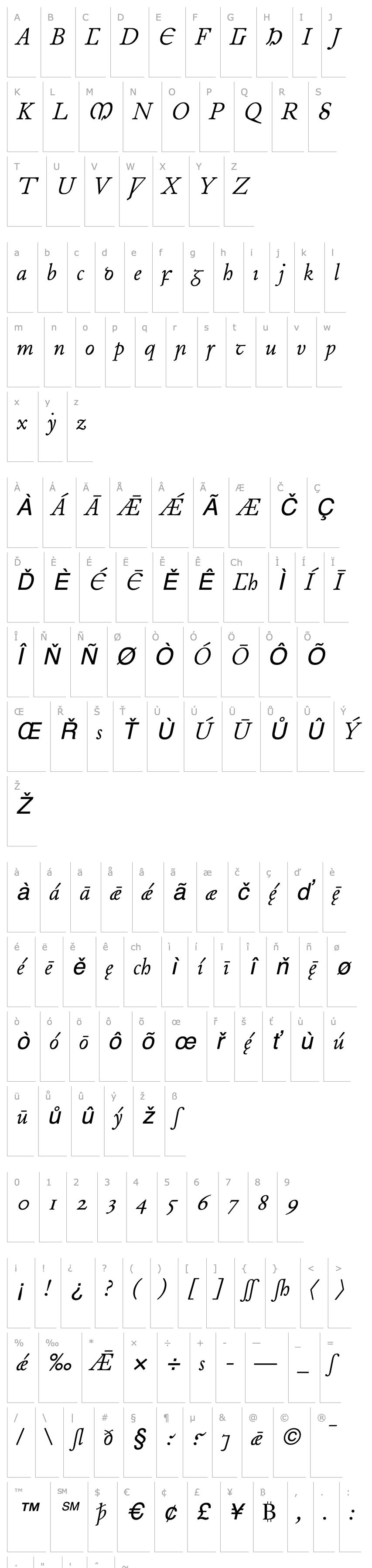 Overview Junius Italic