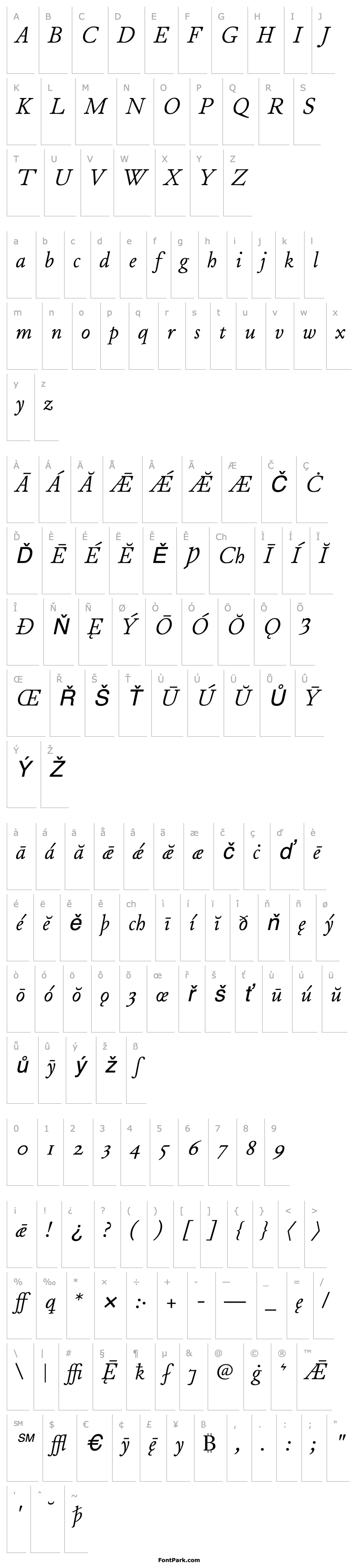 Overview JuniusModern Italic