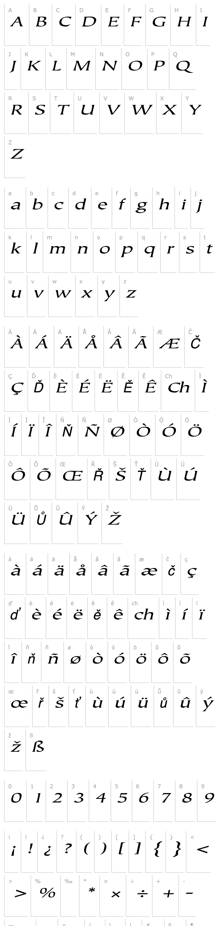 Overview JusticeSystemExtended Italic