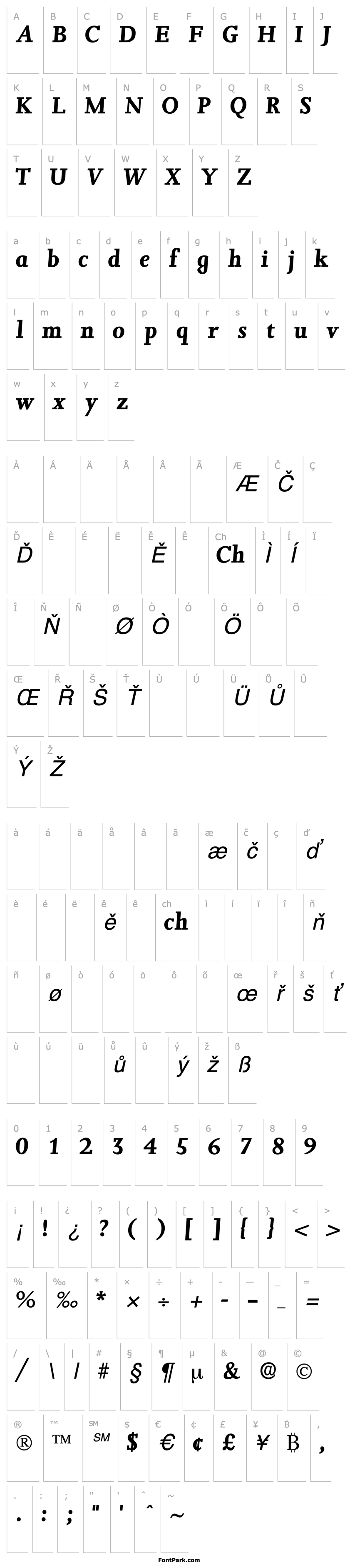 Overview JuxtaDisplaySSK Italic