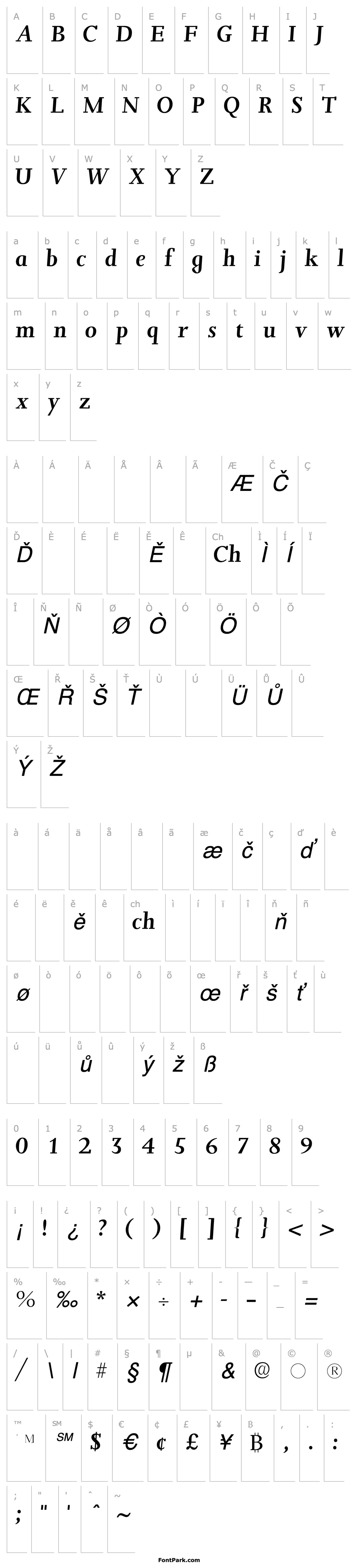 Overview JuxtaSSK Italic