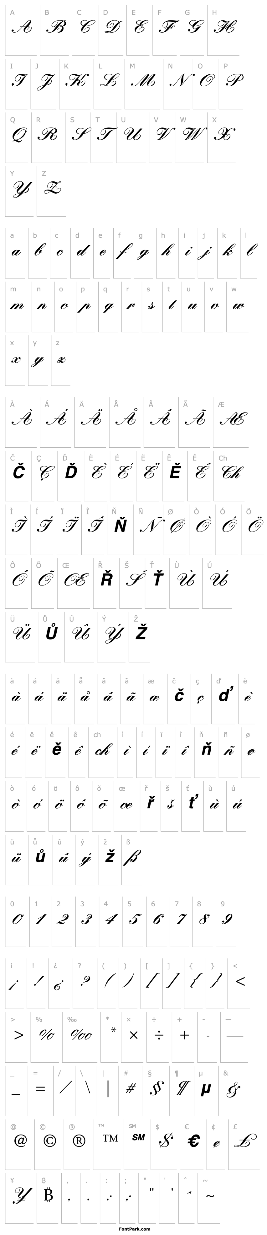 Přehled Kuenstler Script Black