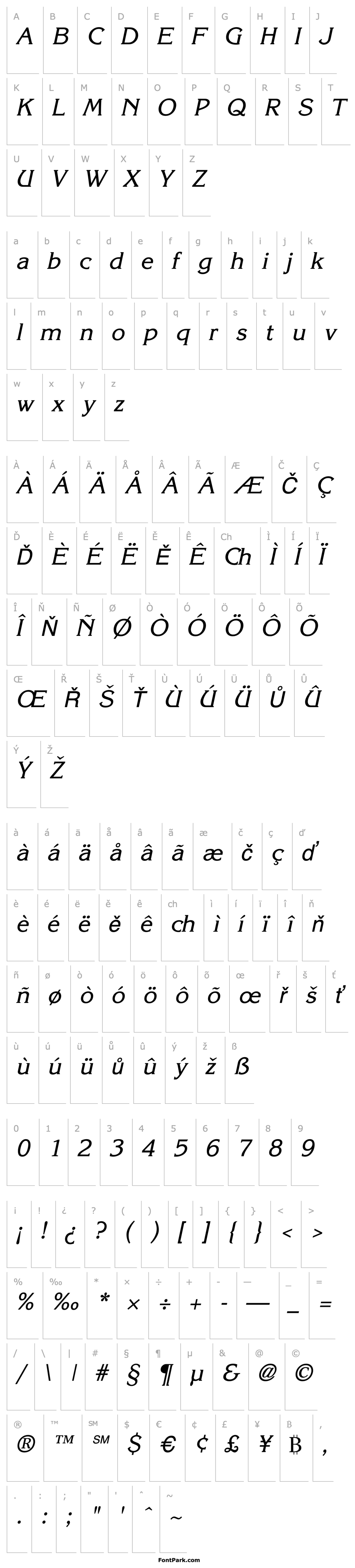 Přehled Kane Italic