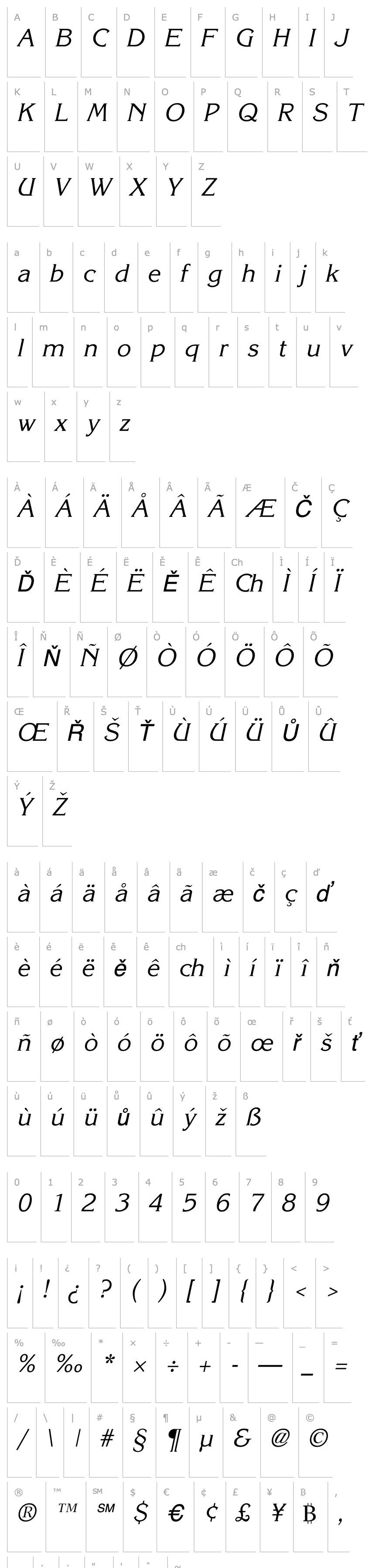 Overview KaneLightItalic