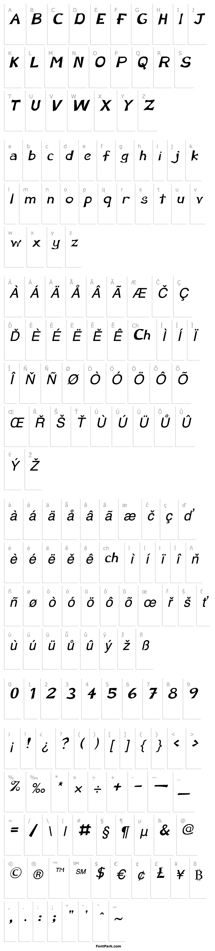 Přehled KaronSSK Italic