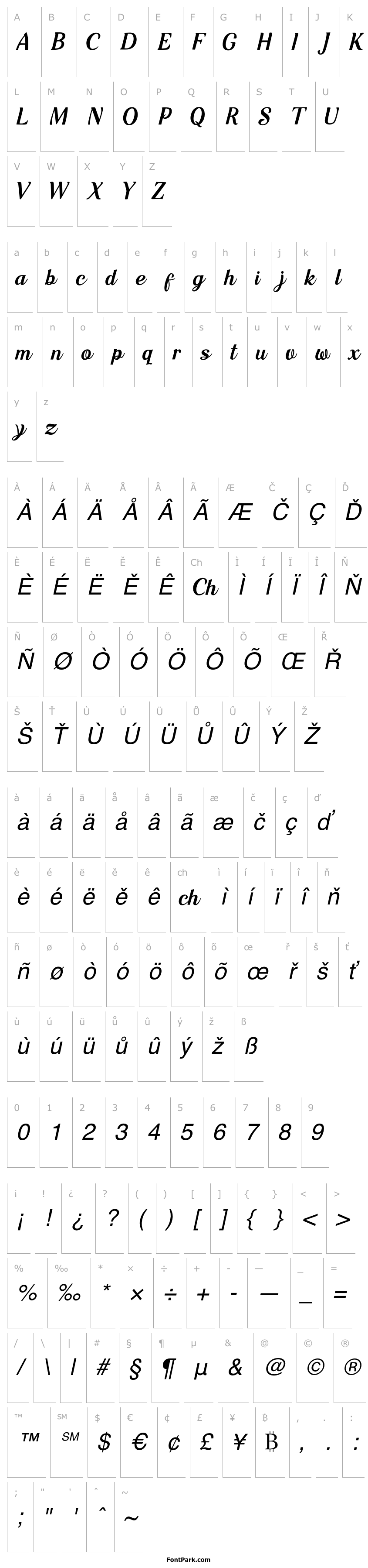 Přehled Kashie Mercy