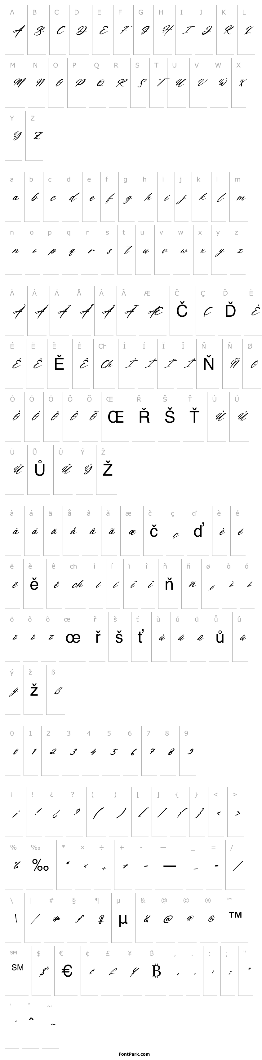 Přehled Katherinna Italic