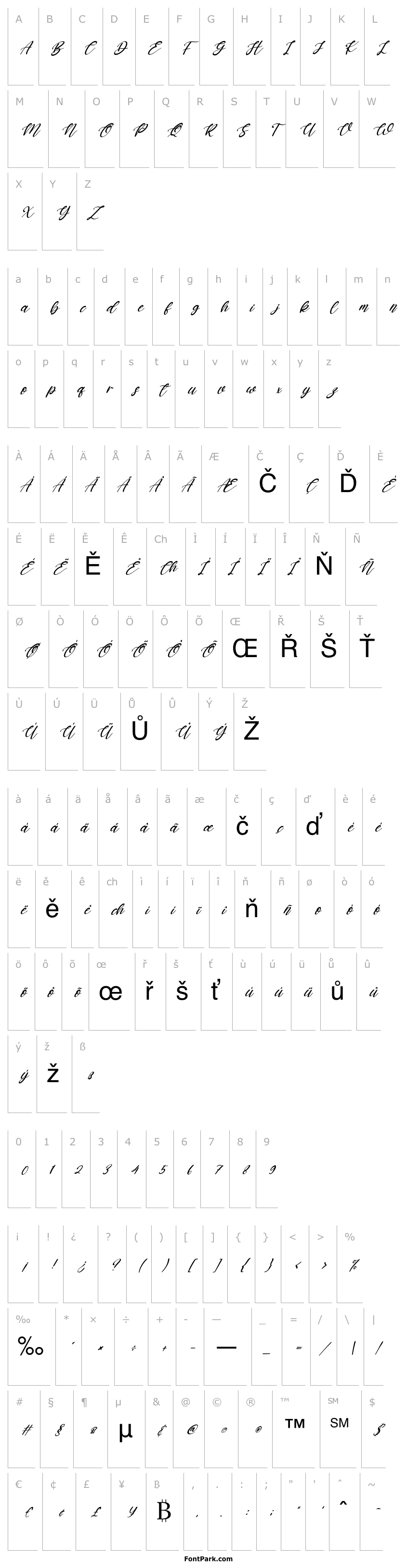 Overview Katterine Rose Italic