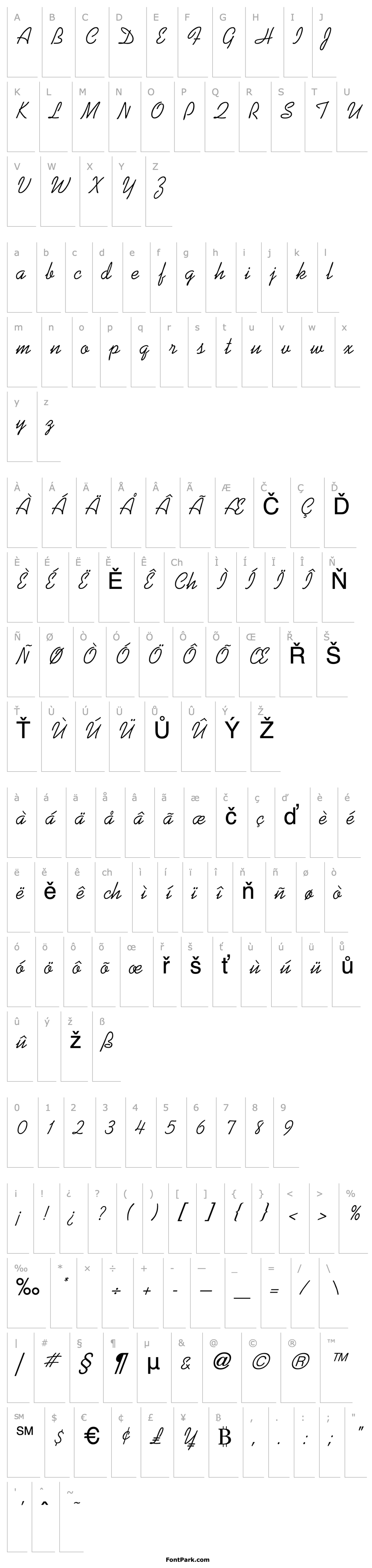 Overview Kaufmann Script Regular