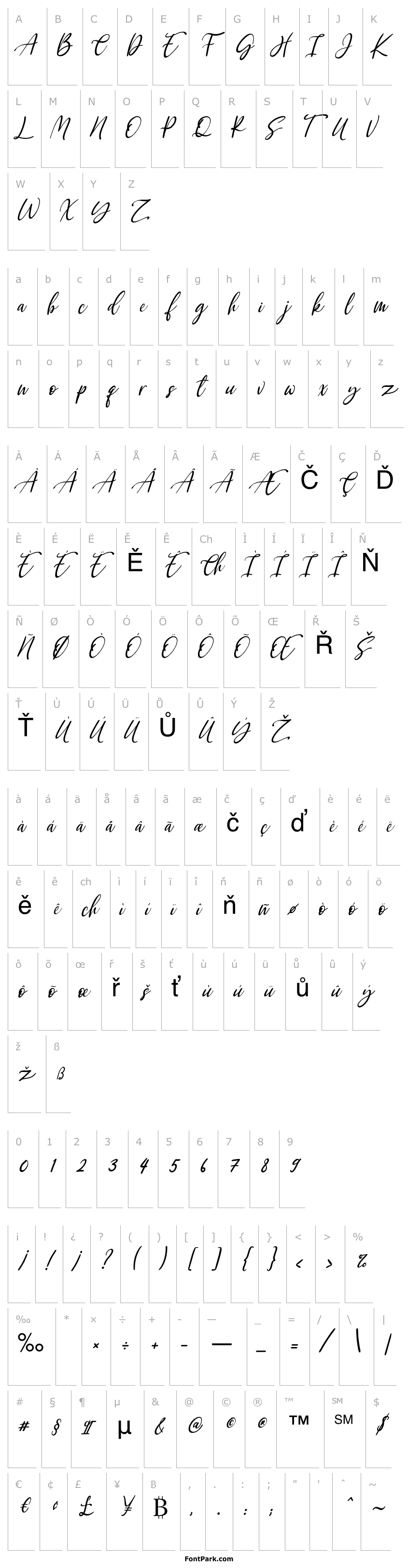 Overview Kayliee Mightness Italic