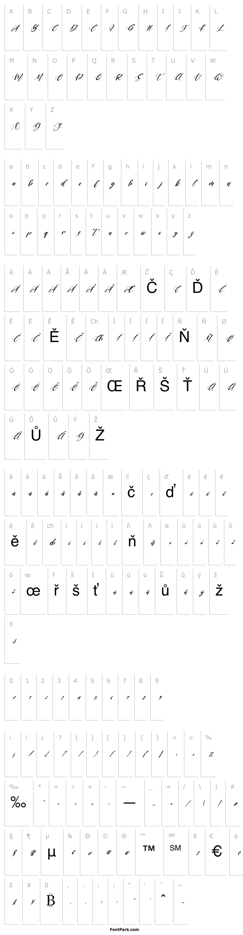 Přehled Keffie Austina Italic