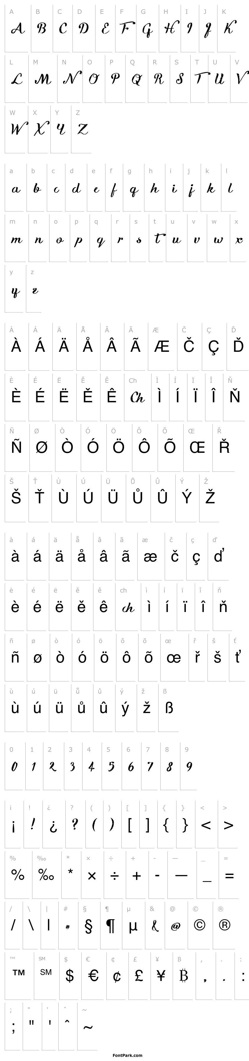 Overview Kikelet Brush