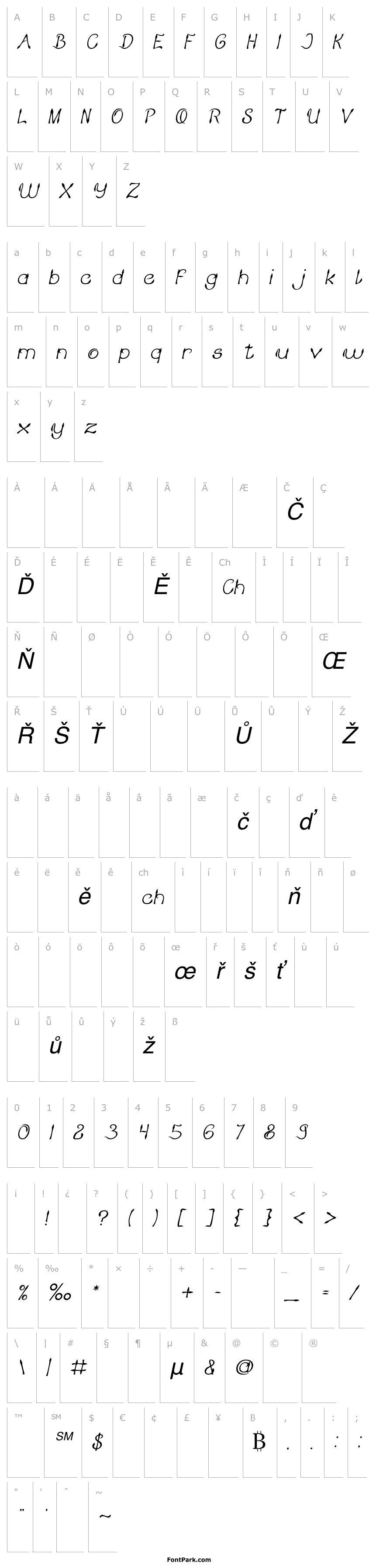 Overview KING OF PIRATE Italic