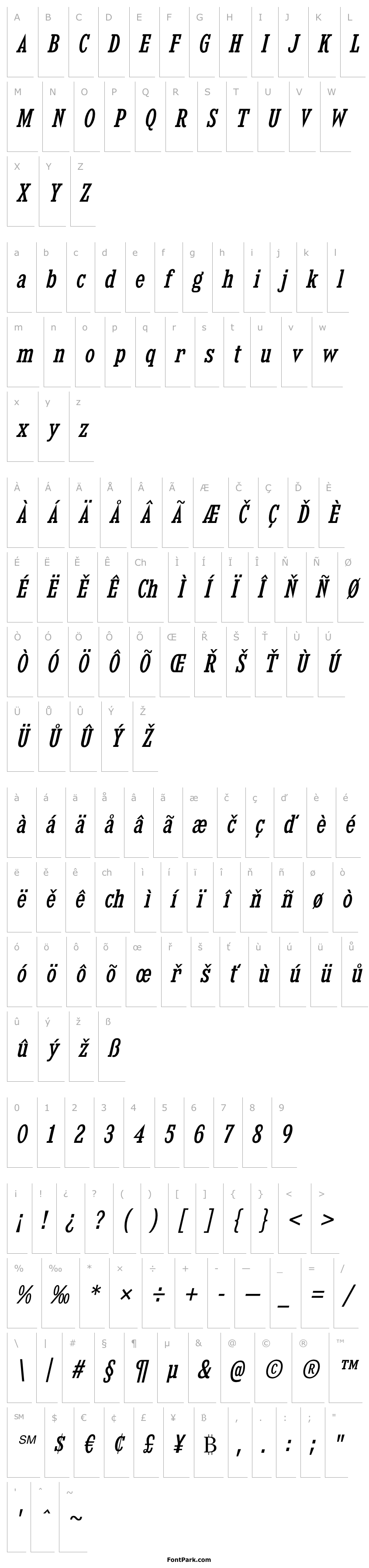 Overview KingsbridgeCdRg-Italic
