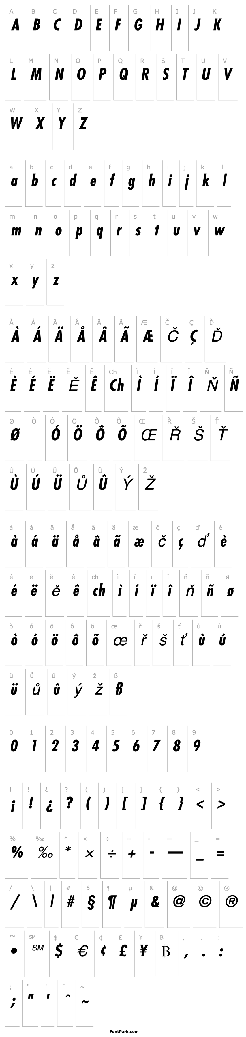 Přehled KudosBlackCondSSK Italic