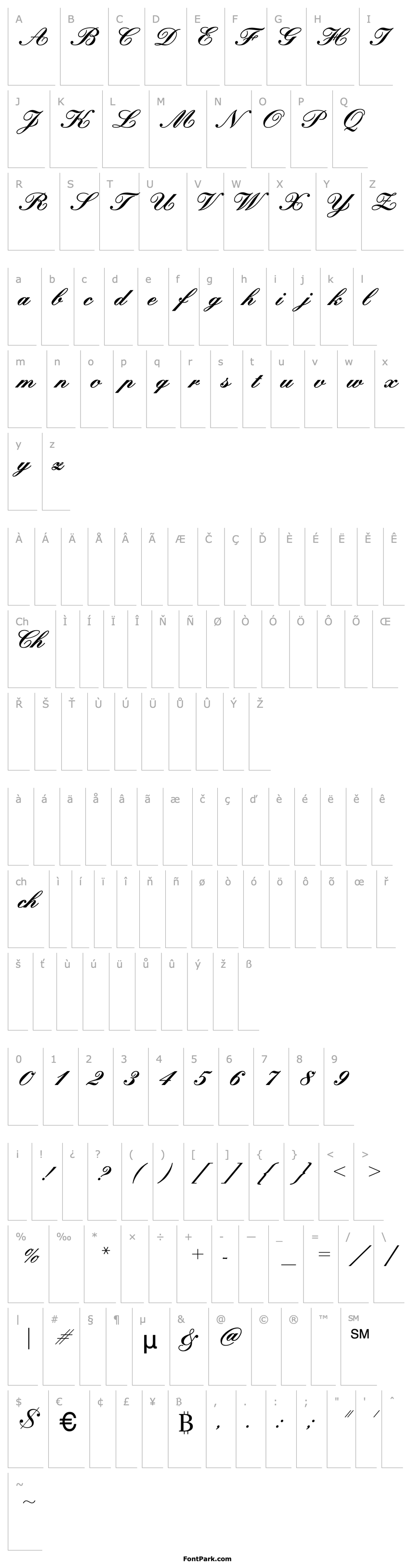 Overview Kuenstler Script Black