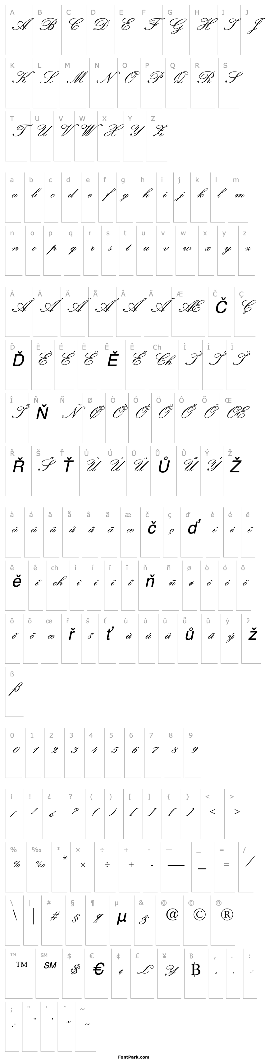 Přehled Kuenstler Script Bold