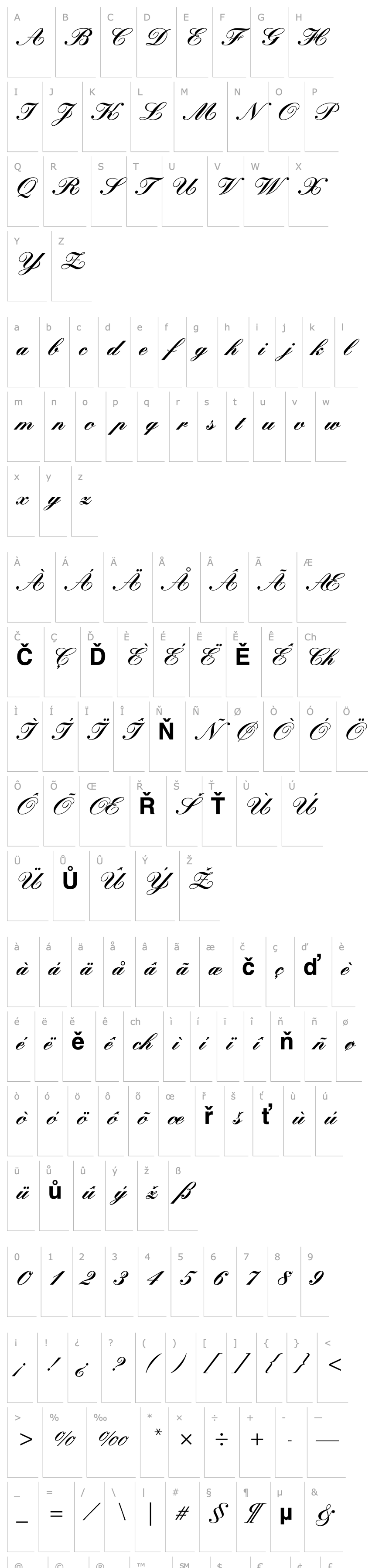 Přehled Kuenstler Script LT Black