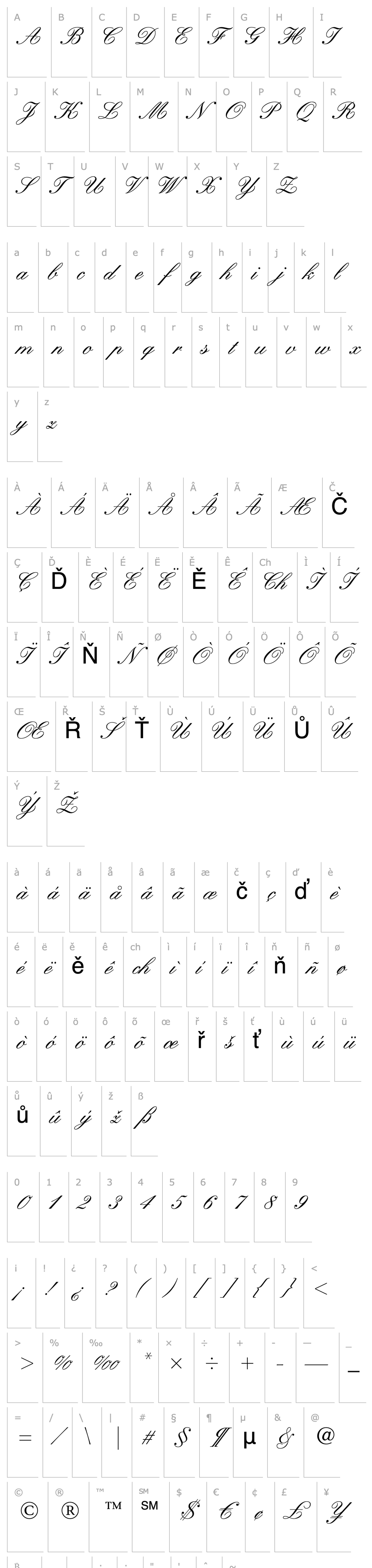 Overview Kuenstler Script LT Medium