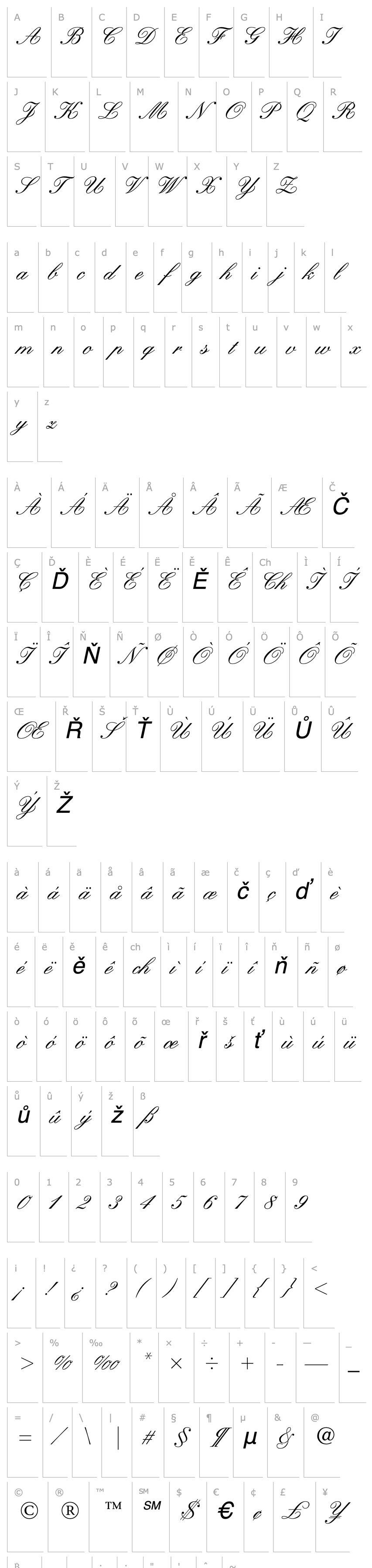 Přehled Kuenstler Script Medium