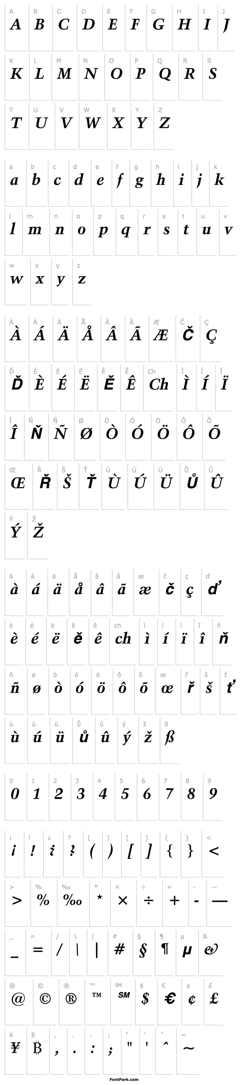 Přehled Kuenstler480BT-BoldItalic